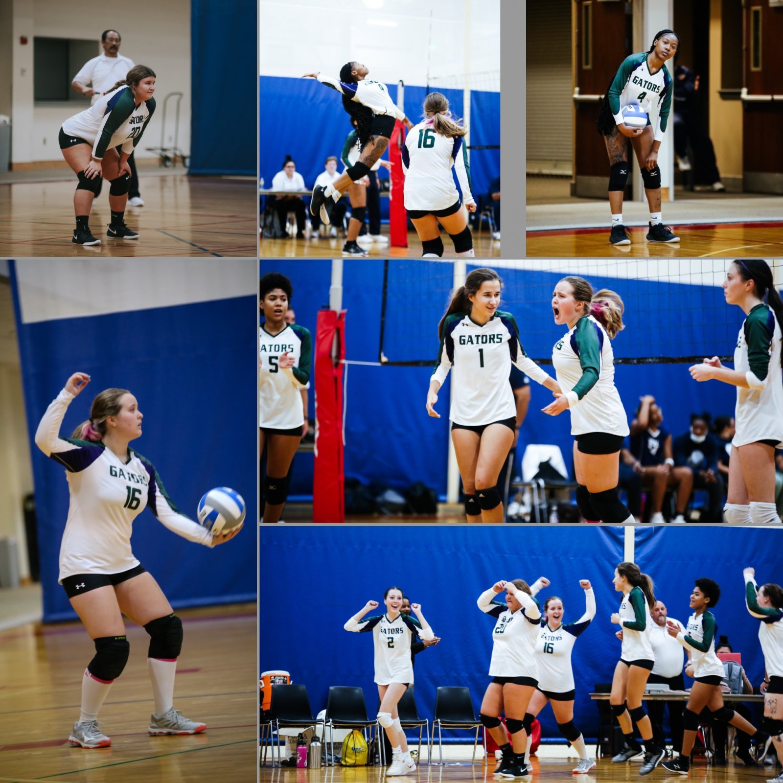 The Gators women's volleyball team (in white tops) swept three sets from Virginia University of Lynchburg in its first match as a club team.