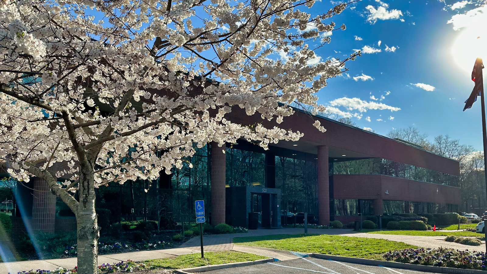 Hampton IV Building in the spring